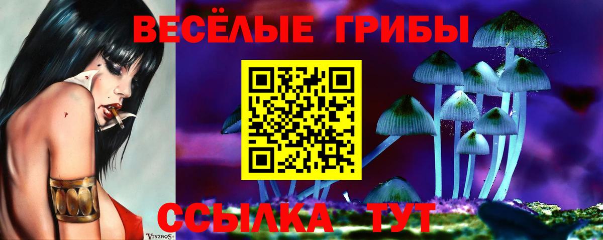 Гуково  Галлюциногенные грибы мицелий  Вход с VPN  Галлюциногенные грибы мицелий 
